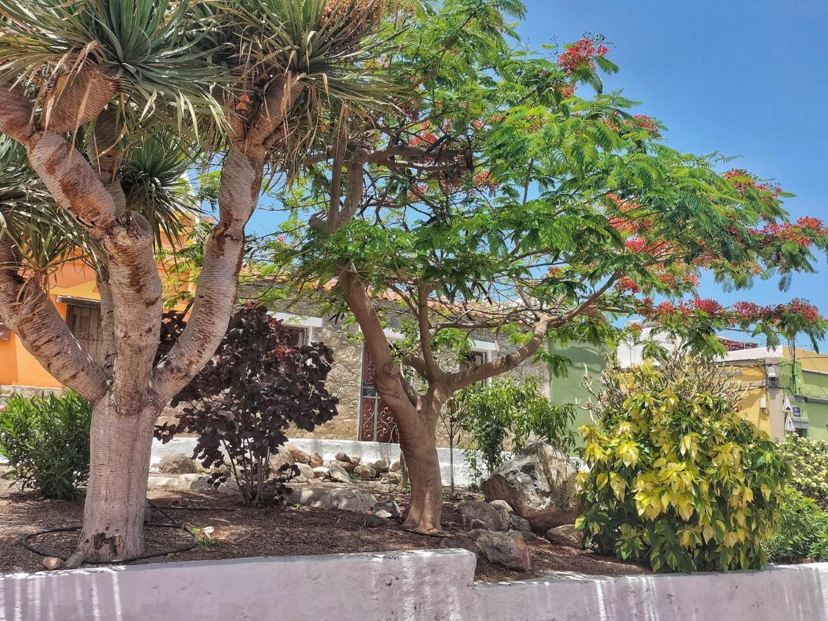 Casa En La Ladera - Real Vibe - Beach & Mountain San Nicolás Exterior foto